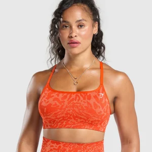 Outlet Gymshark Adapt x Whitney Sports Bra FlareOrange/SorbetOrange