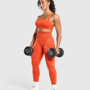 Outlet Gymshark Adapt x Whitney Sports Bra FlareOrange/SorbetOrange