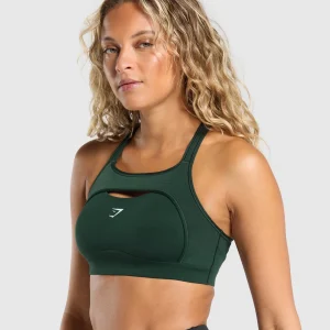 Best Gymshark Alpha High Support Sports Bra VictoryGreen