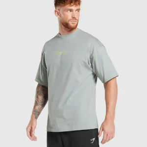 Online Gymshark Athletic Department T-Shirt SmokeyGrey