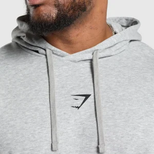 Fashion Gymshark Bulking Season Hoodie LightGreyCoreMarl