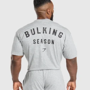 Clearance Gymshark Bulking Season T-Shirt LightGreyCoreMarl