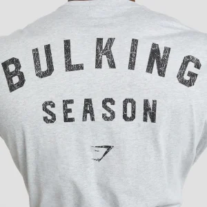 Clearance Gymshark Bulking Season T-Shirt LightGreyCoreMarl