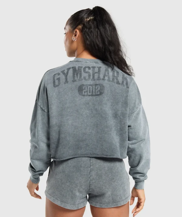 New Gymshark Collegiate Shadow Washed Midi Sweatshirt AsphaltGrey