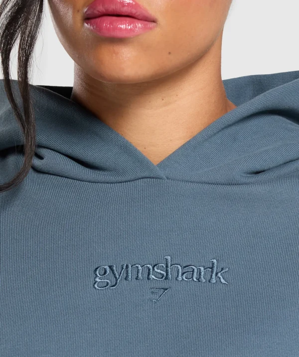 Fashion Gymshark Embroidered Logo Oversized Hoodie CargoBlue