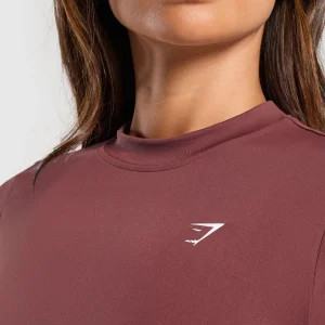 Sale Gymshark Everyday Seamless Tight Fit Tee BurgundyBrown