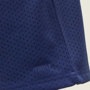 Best Gymshark everywear Basketball Shorts AshBlue