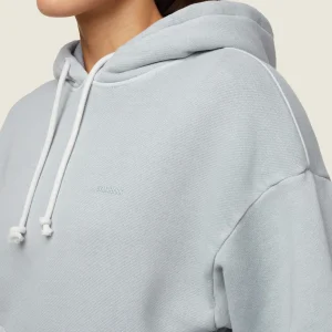 Best Gymshark everywear Relaxed Hoodie IceGrey