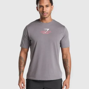 Online Gymshark Fitness Apparel Functional T-Shirt BrushedGrey