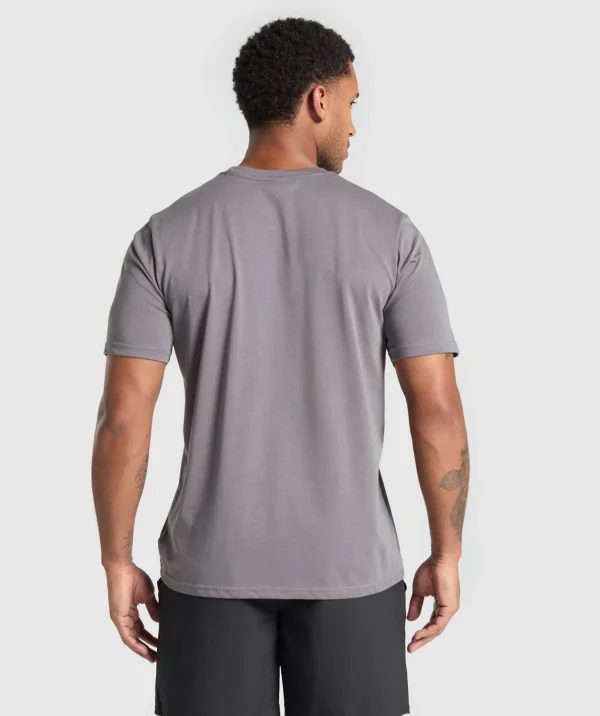 Online Gymshark Fitness Apparel Functional T-Shirt BrushedGrey