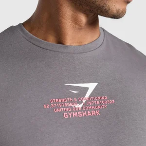 Online Gymshark Fitness Apparel Functional T-Shirt BrushedGrey