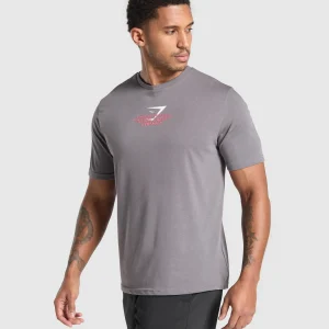 Online Gymshark Fitness Apparel Functional T-Shirt BrushedGrey