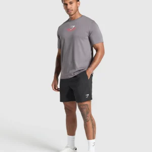 Online Gymshark Fitness Apparel Functional T-Shirt BrushedGrey