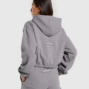 Outlet Gymshark Fleece Zip Hoodie MediumGrey