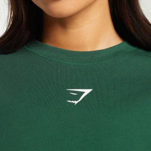 Sale Gymshark Fraction Long Sleeve T-Shirt ConditioningGreen