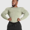 Best Gymshark Geo Animal Seamless Long Sleeve T-Shirt ChalkGreen/UnitGreen