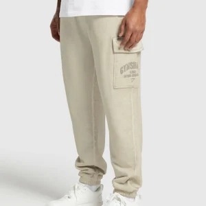 Hot Gymshark Heavyweight Washed Cargo Joggers PebbleGrey