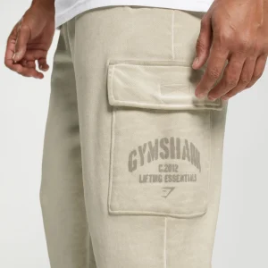 Hot Gymshark Heavyweight Washed Cargo Joggers PebbleGrey