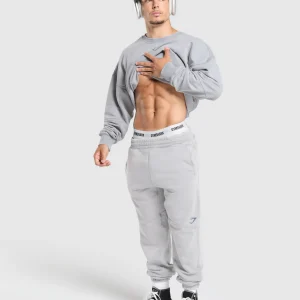 Online Gymshark Heritage Washed Crew DenimGrey