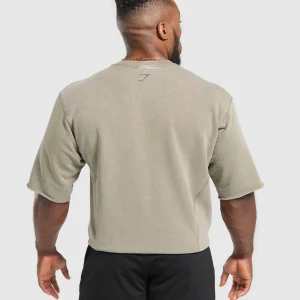 Hot Gymshark Heritage Washed Short Sleeve Crew UtilityGreen