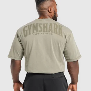 Online Gymshark Heritage Washed T-Shirt UtilityGreen