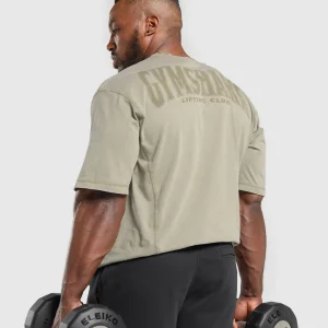 Online Gymshark Heritage Washed T-Shirt UtilityGreen