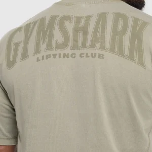 Online Gymshark Heritage Washed T-Shirt UtilityGreen