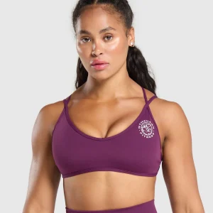 Best Gymshark Legacy Bra MagentaPurple