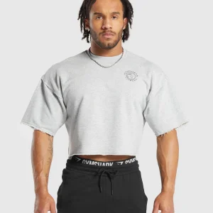 Fashion Gymshark Legacy Cropped Short Sleeve Crew LightGreyCoreMarl