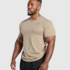 Best Gymshark Legacy T-Shirt CementBrown