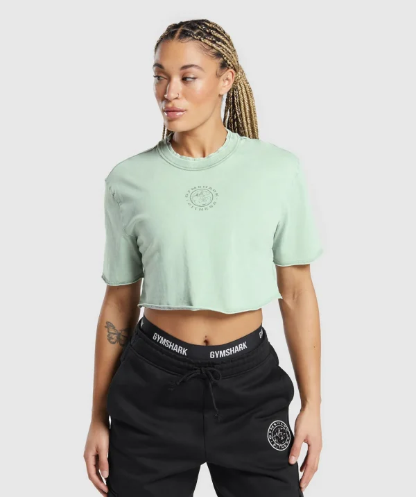 Hot Gymshark Legacy Washed Crop Top FadedGreen