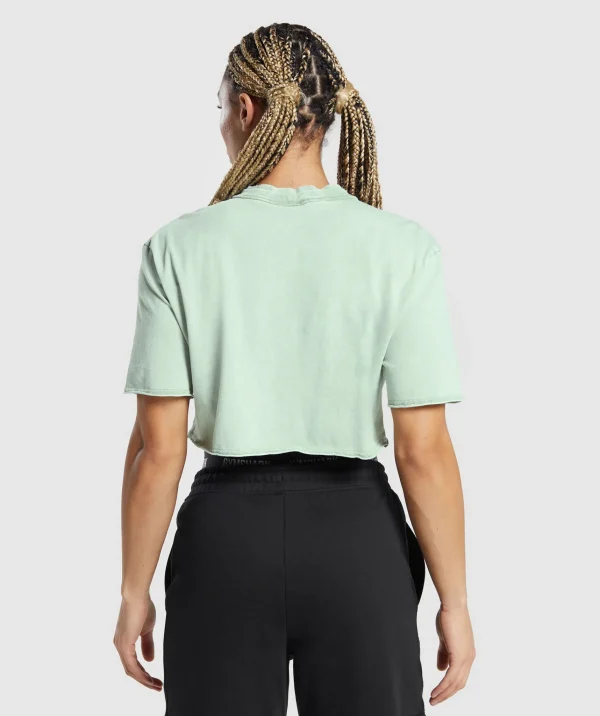 Hot Gymshark Legacy Washed Crop Top FadedGreen