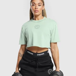 Hot Gymshark Legacy Washed Crop Top FadedGreen