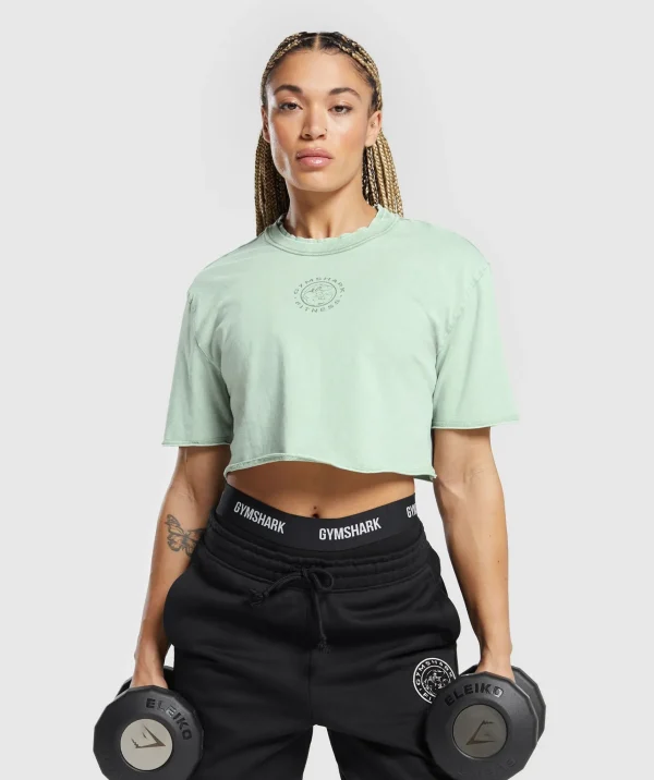 Hot Gymshark Legacy Washed Crop Top FadedGreen