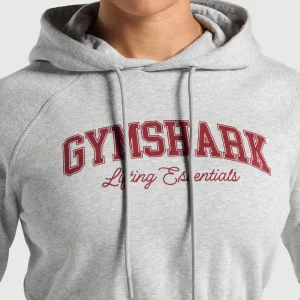 Hot Gymshark Lifting Essentials Graphic Cropped Hoodie LightGreyCoreMarl