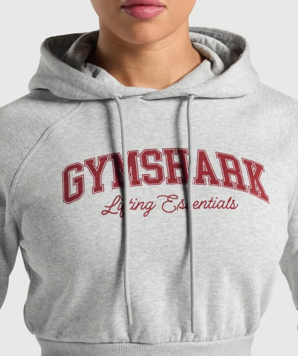 Hot Gymshark Lifting Essentials Graphic Cropped Hoodie LightGreyCoreMarl