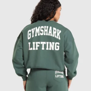 Hot Gymshark Lifting Graphic Midi Sweatshirt SlateTeal