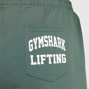 Fashion Gymshark Lifting Graphic Oversized Joggers SlateTeal