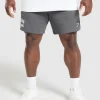 Outlet Gymshark Lifting Mesh 7" Shorts PitchGrey