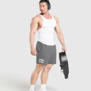 Outlet Gymshark Lifting Mesh 7" Shorts PitchGrey