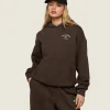 Hot Gymshark Phys Ed Graphic Hoodie ArchiveBrown