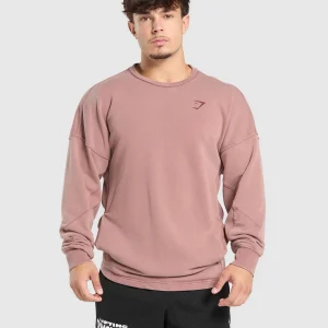 Fashion Gymshark Power Washed Crew BrickBrown