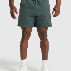 Outlet Gymshark Premium Legacy Shorts CargoTeal