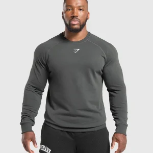 Best Gymshark Reaper Crew AsphaltGrey