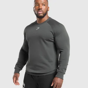 Best Gymshark Reaper Crew AsphaltGrey