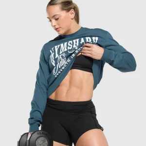 Clearance Gymshark Strength In Numbers Long Sleeve Top CargoBlue