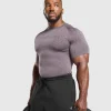 New Gymshark Tectonic Seamless T Shirt BrushedPurple/GreyedPurple