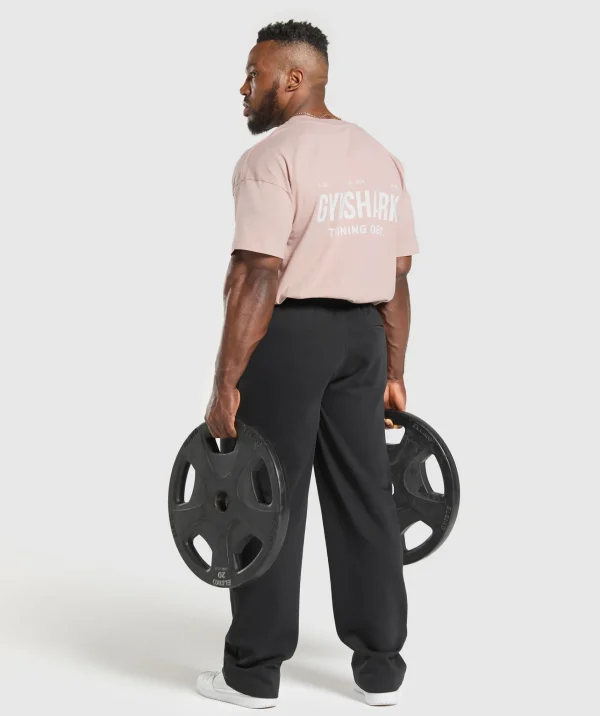 Best Gymshark Training Dept. T-Shirt MutedPink