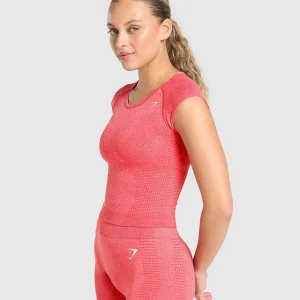 Discount Gymshark Vital Seamless Scoop Neck Top CoralRedMarl