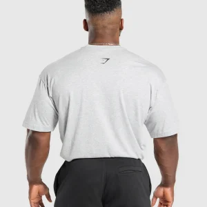 Sale Gymshark XXL Graphic T-Shirt LightGreyCoreMarl